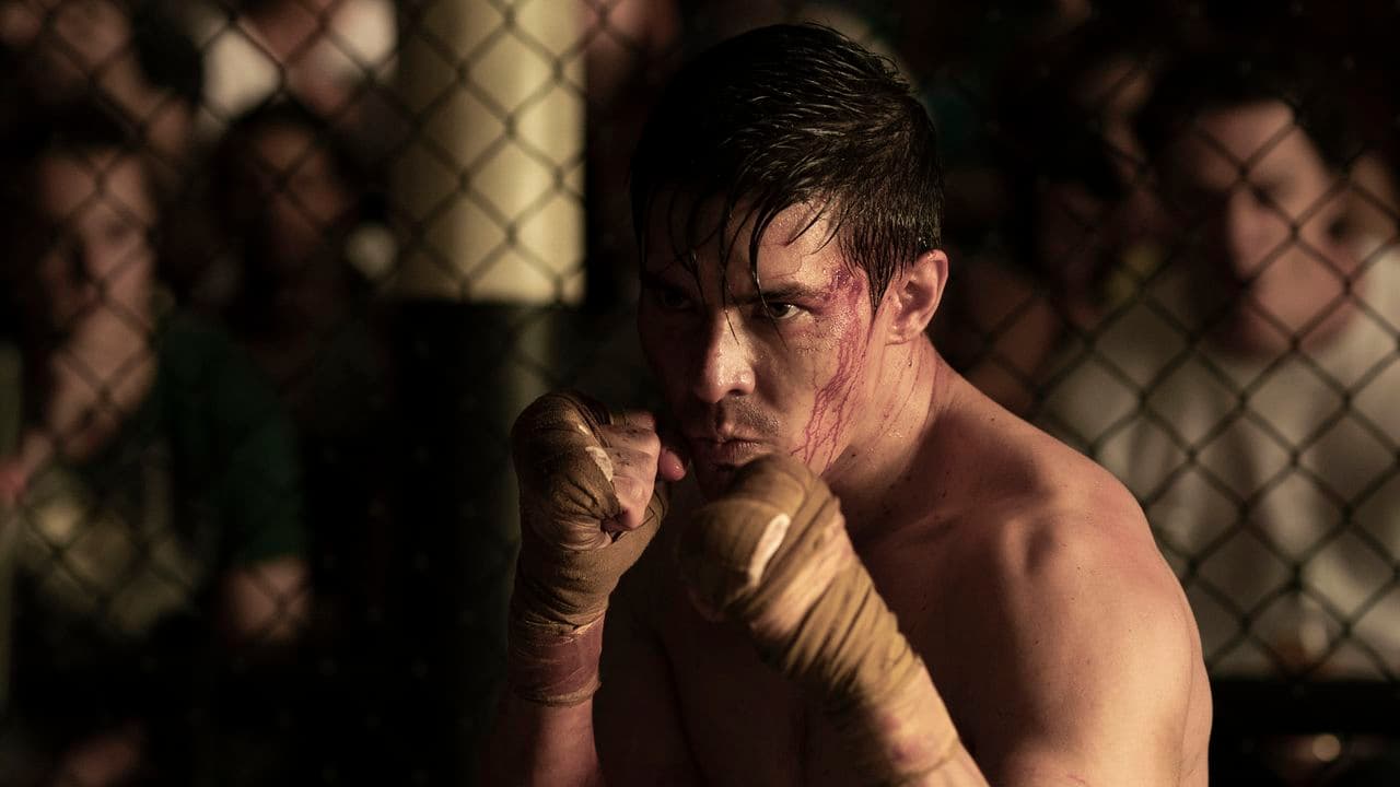 Warner Bros. rejeita proposta da Paramount, mas a disputa com a Netflix está apenas começando