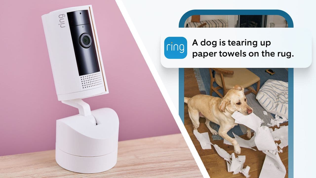 Excesso de notificações de campainhas ou câmeras? Ring utiliza IA para simplificar alertas