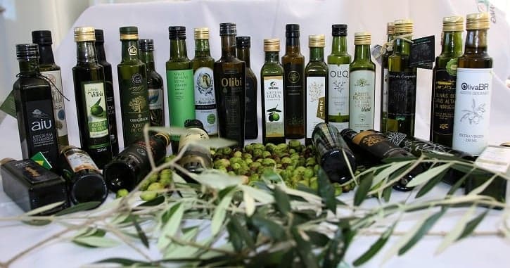 Minas Gerais se prepara para uma safra histórica de azeite em 2026